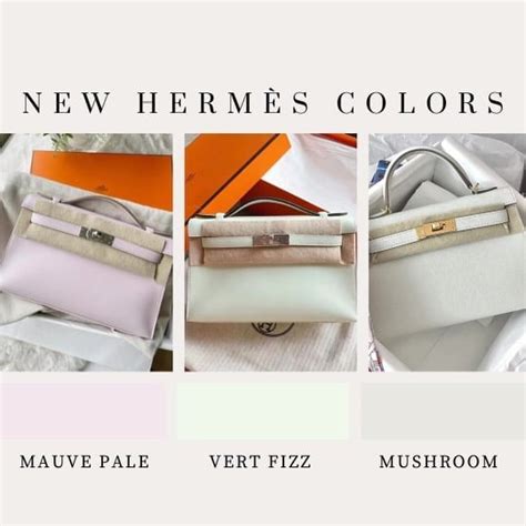 hermes epsom color|pursebop hermes colors.